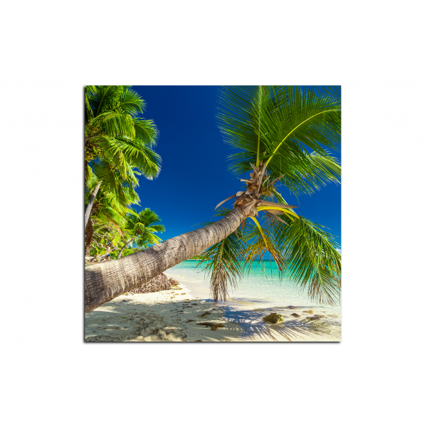 Obraz na plátně - Pláž s palmami  - čtverec